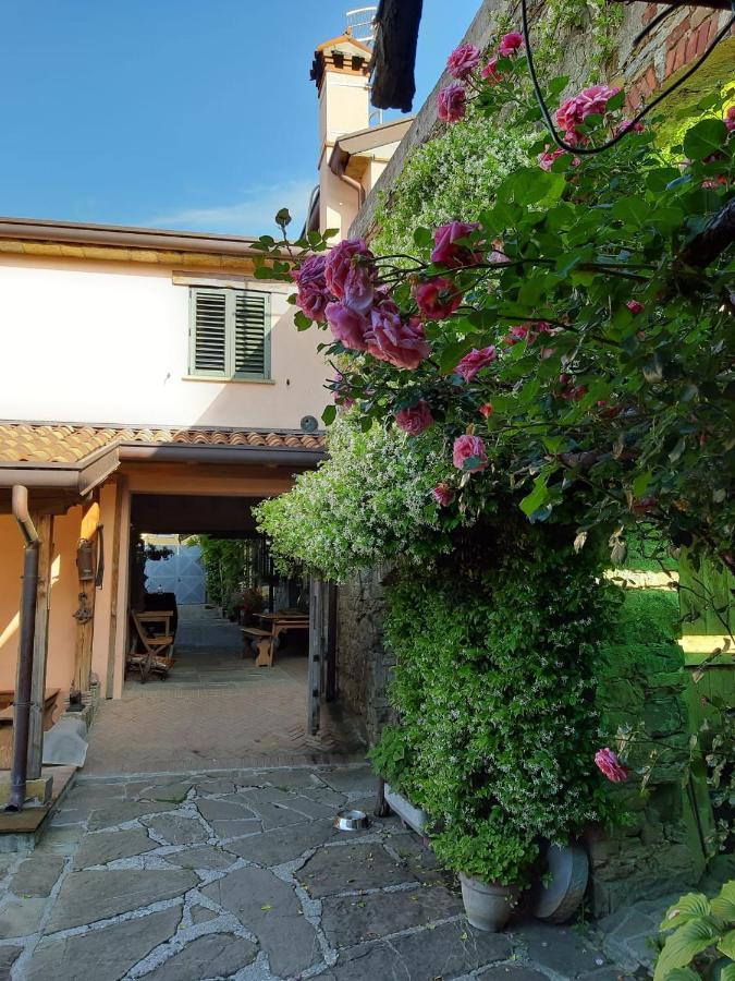 Il Glicine Bed & Breakfast San Dorligo della Valle Ngoại thất bức ảnh
