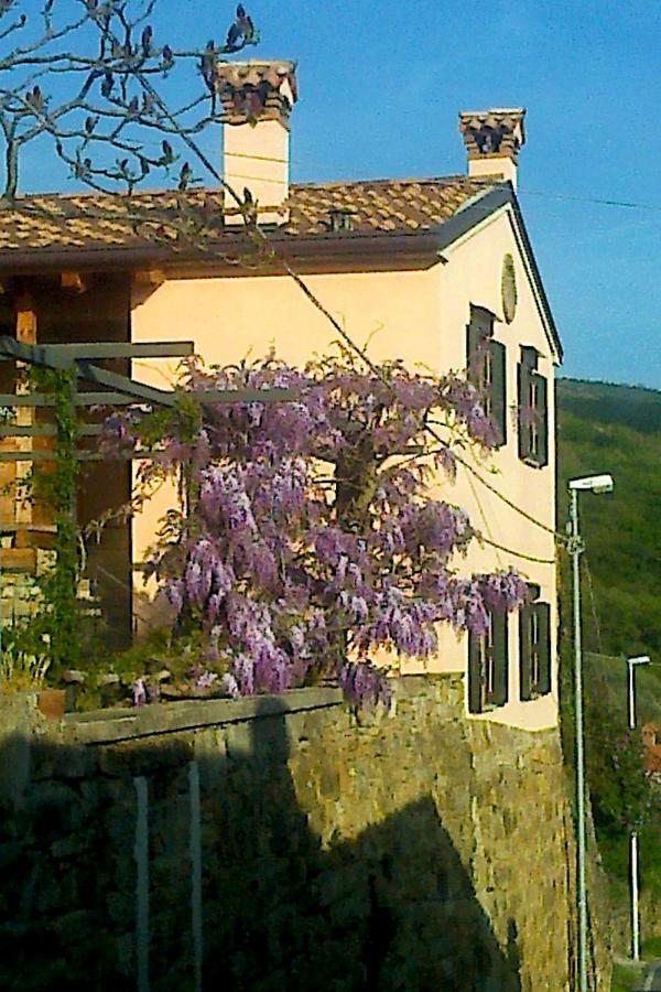 Il Glicine Bed & Breakfast San Dorligo della Valle Ngoại thất bức ảnh