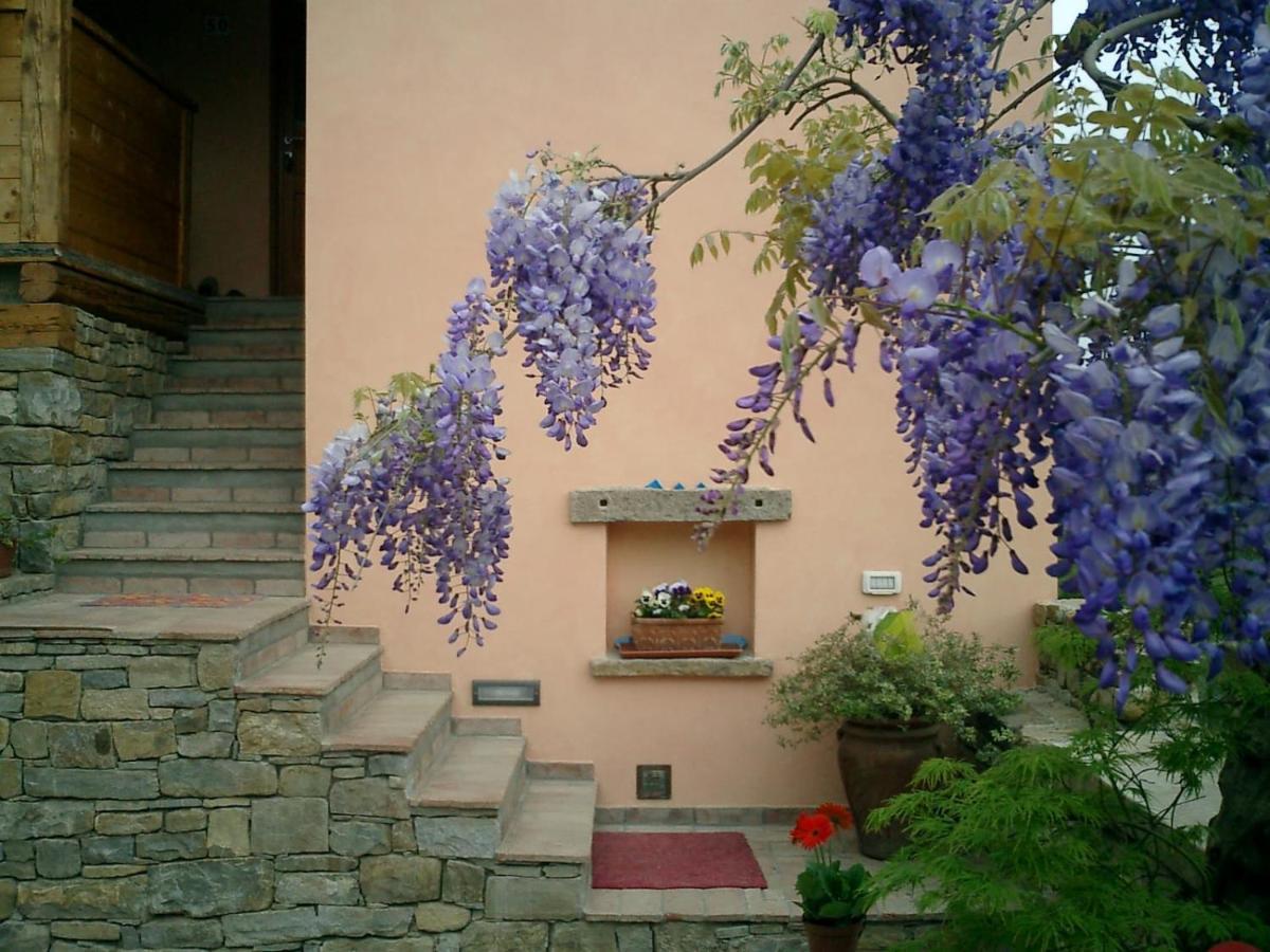 Il Glicine Bed & Breakfast San Dorligo della Valle Ngoại thất bức ảnh