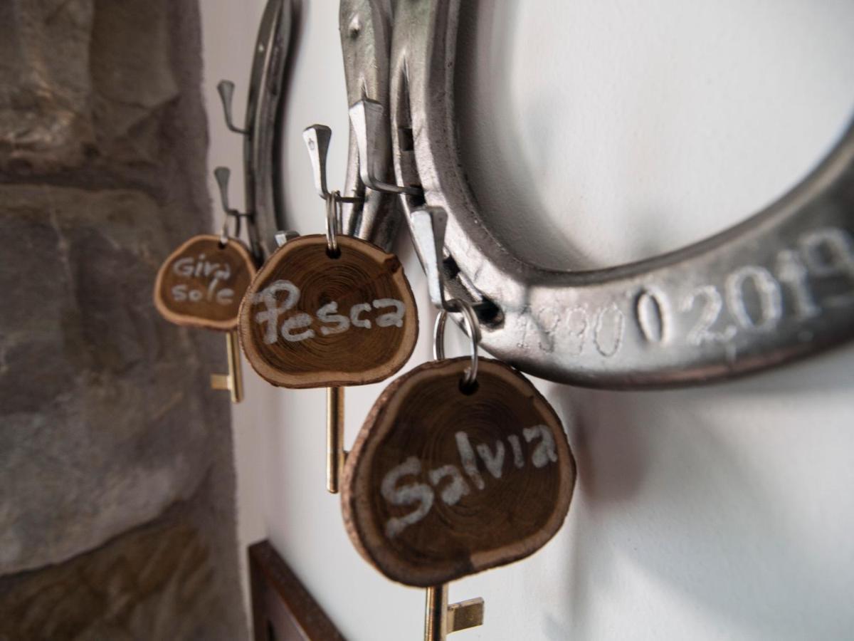 Il Glicine Bed & Breakfast San Dorligo della Valle Ngoại thất bức ảnh