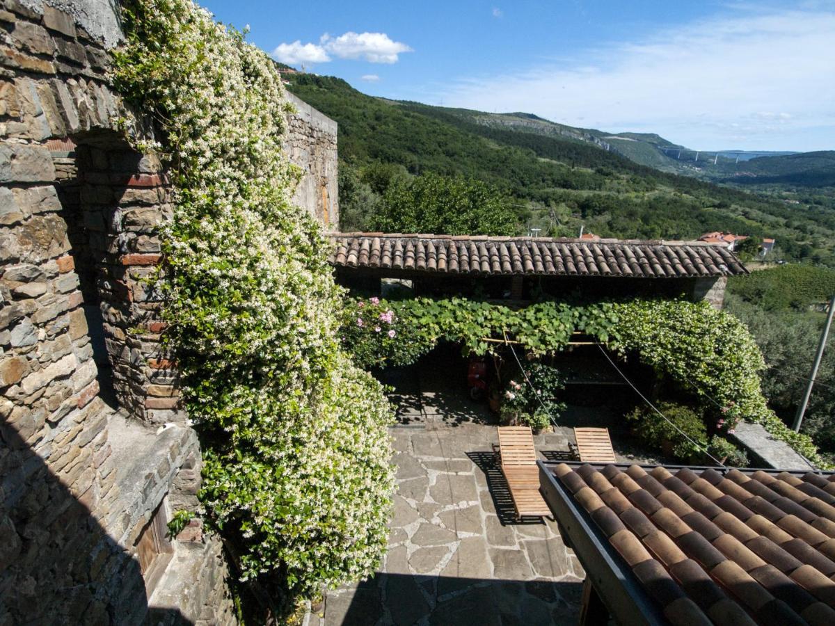 Il Glicine Bed & Breakfast San Dorligo della Valle Ngoại thất bức ảnh