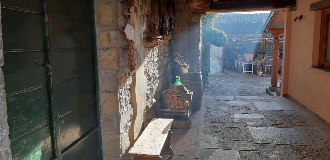 Il Glicine Bed & Breakfast San Dorligo della Valle Ngoại thất bức ảnh