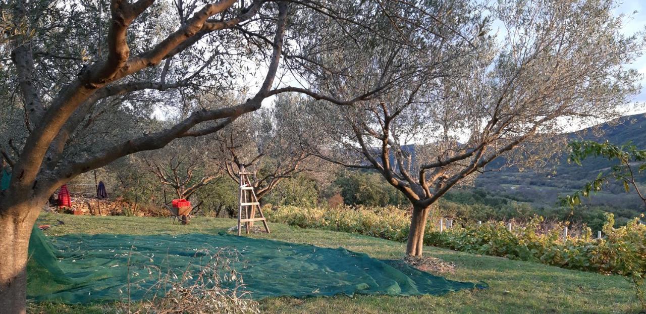 Il Glicine Bed & Breakfast San Dorligo della Valle Ngoại thất bức ảnh
